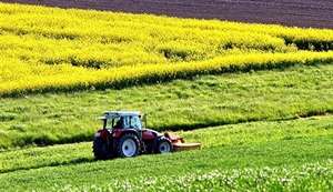 AGRINSIEME: PATENTINI FITOSANITARI, PREVEDERE UNA PROROGA PER IL RINNOVO, MANTENENDO VALIDITÀ ABILITAZIONI; IN CASO CONTRARIO, ULTERIORI DISAGI PER PRODUTTORI AGRICOLI